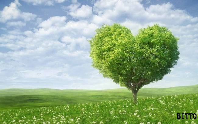 The concept of low-carbon environmental protection is deeply rooted in people